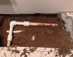 汨罗测漏水哪家好