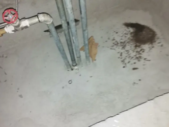 汨罗卫生间测漏水价格明细