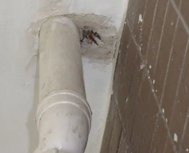 汨罗漏水检测哪家好